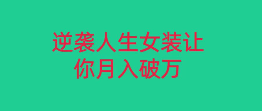 小红书女装无货源月入过万，只要努力就会有成效！-七安资源网