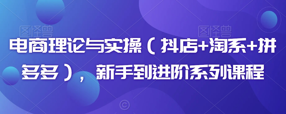 电商理论与实操（抖店+淘系+拼多多），新手到进阶系列课程-七安资源网