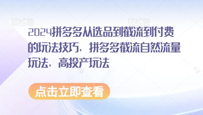 2024拼多多从选品到截流到付费的玩法技巧，拼多多截流自然流量玩法，高投产玩法-七安资源网