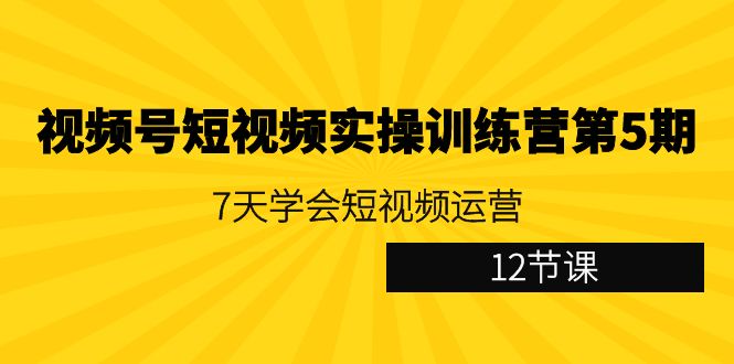 视频号短视频实操训练营第5期：7天学会短视频运营（12节课）-七安资源网