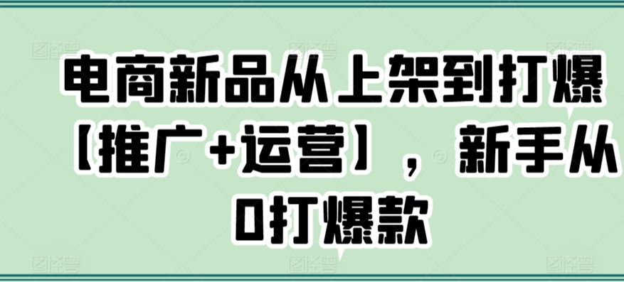 电商新品从上架到打爆【推广+运营】，新手从0打爆款-七安资源网