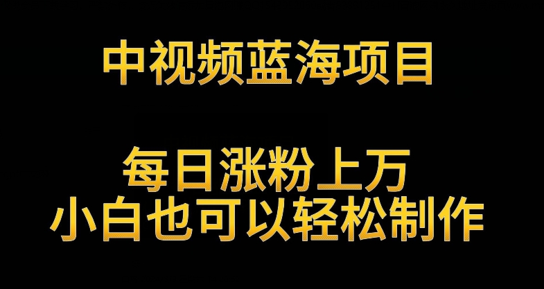 中视频蓝海项目，解读英雄人物生平，每日涨粉上万，小白也可以轻松制作，月入过万不是梦-七安资源网