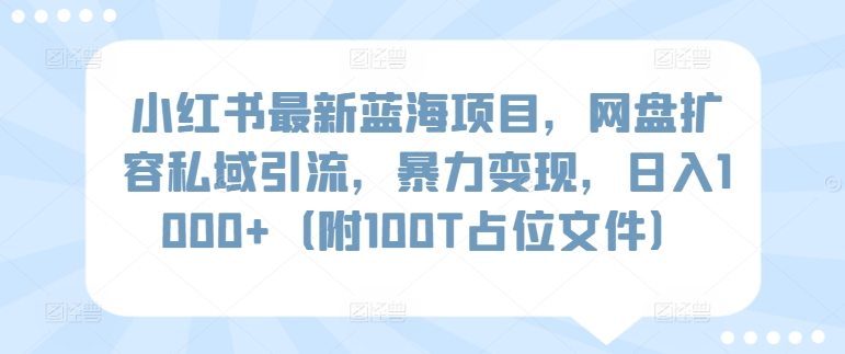 小红书最新蓝海项目，网盘扩容私域引流，暴力变现，日入1000+（附100T占位文件）-七安资源网