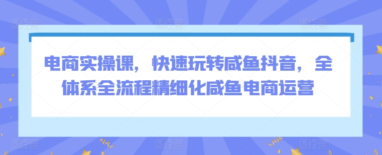 电商实操课，快速玩转咸鱼抖音，全体系全流程精细化咸鱼电商运营-七安资源网