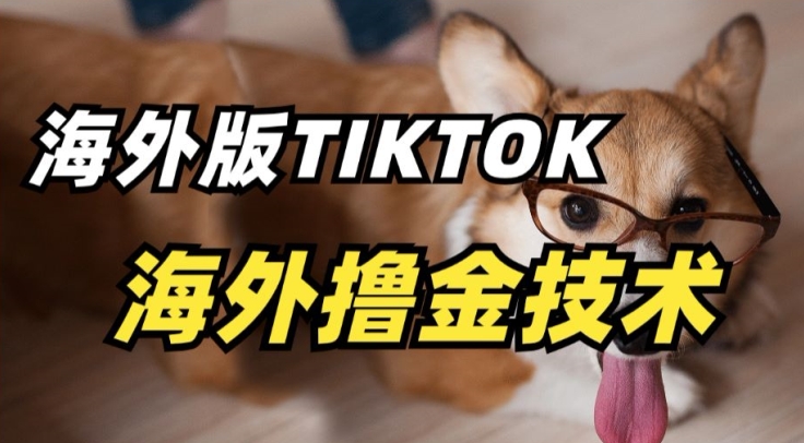 抖音海外版tiktok撸金技术，这个风口行业，赚钱真的不难-七安资源网