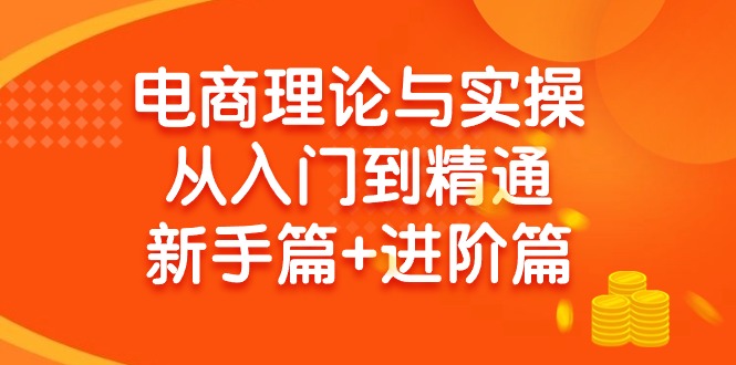 （9576期）电商理论与实操从入门到精通 新手篇+进阶篇-七安资源网