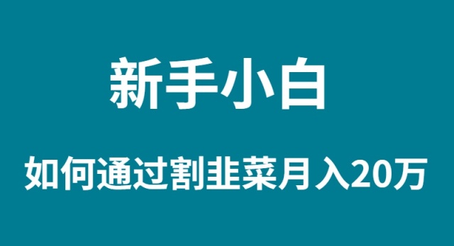 （9308期）新手小白如何通过割韭菜月入 20W-七安资源网