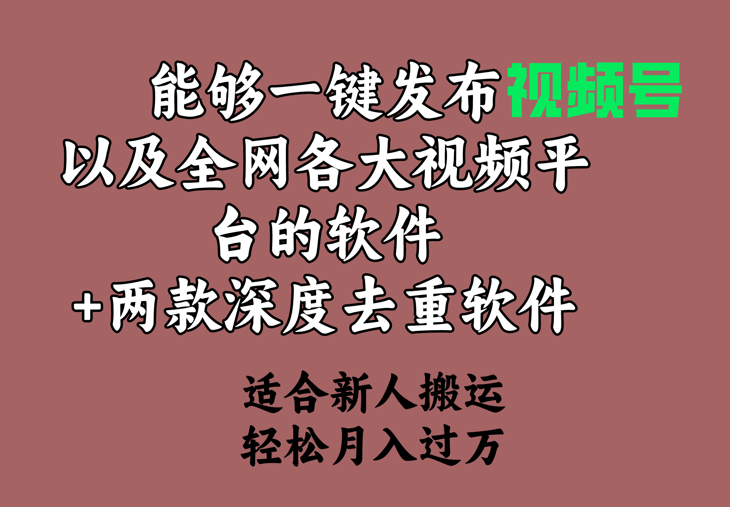 （9319期）能够一键发布视频号以及全网各大视频平台的软件+两款深度去重软件 适合…-七安资源网