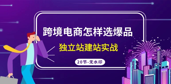 跨境电商怎样选爆品，独立站建站实战（20节高清课）-七安资源网