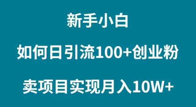 （9556期）新手小白如何通过卖项目实现月入10W+-七安资源网