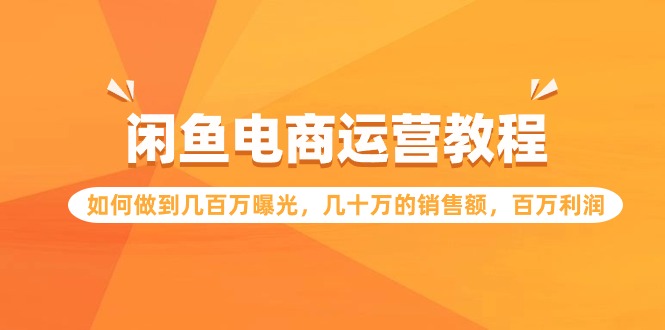 （9560期）闲鱼电商运营教程：如何做到几百万曝光，几十万的销售额，百万利润-七安资源网