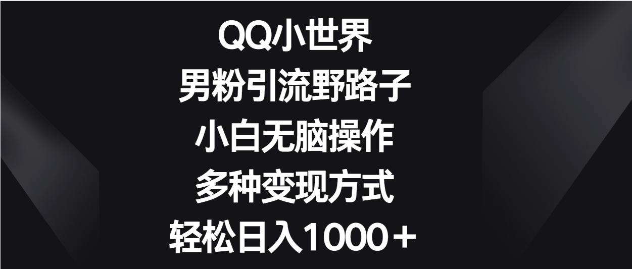 QQ小世界男粉引流野路子，小白无脑操作，多种变现方式轻松日入1000＋-七安资源网