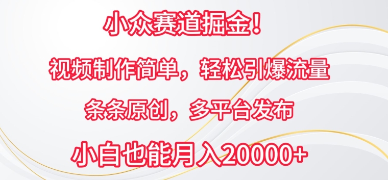 小众赛道掘金，视频制作简单，轻松引爆流量，条条原创，多平台发布-七安资源网