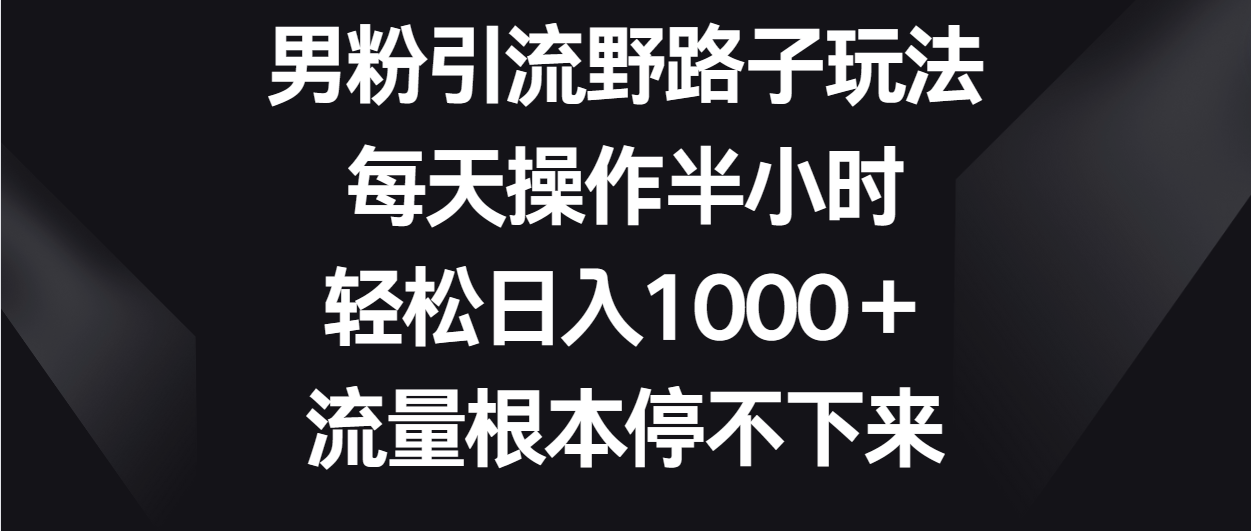 男粉引流野路子玩法，每天操作半小时轻松日入1000＋，流量根本停不下来-七安资源网