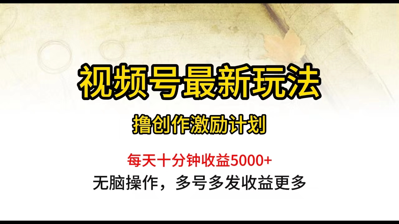 （10087期）视频号最新玩法，每日一小时月入5000+-七安资源网