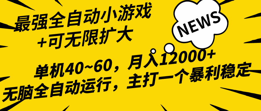 （10046期）2024最新全网独家小游戏全自动，单机40~60,稳定躺赚，小白都能月入过万-七安资源网