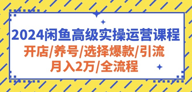 2024闲鱼高级实操运营课程：开店/养号/选择爆款/引流/月入2万/全流程-七安资源网