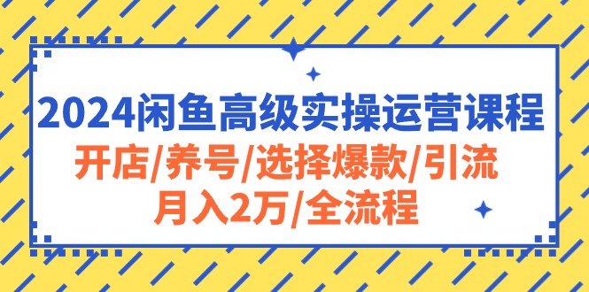 （10711期）2024闲鱼高级实操运营课程：开店/养号/选择爆款/引流/月入2万/全流程-七安资源网