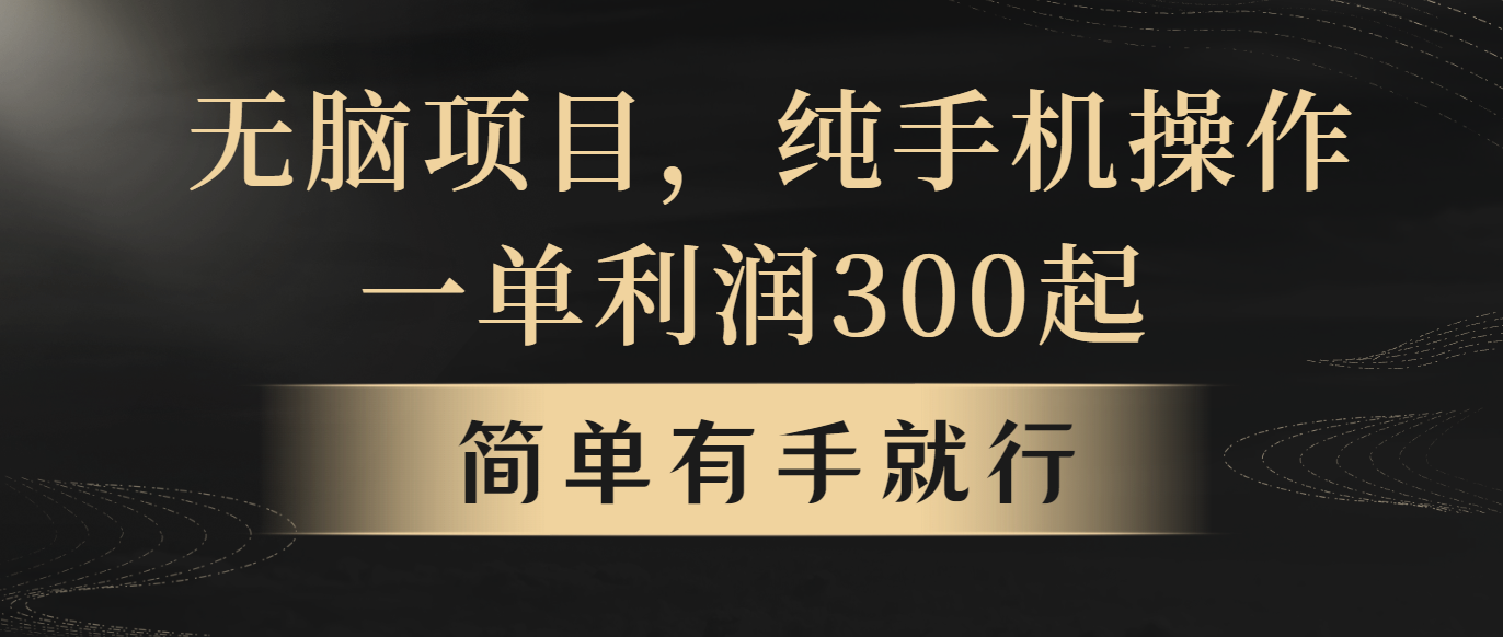 （10699期）无脑项目，一单几百块，轻松月入5w+，看完就能直接操作-七安资源网