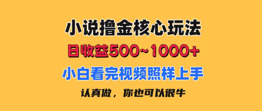 （11461期）小说撸金核心玩法，日收益500-1000+，小白看完照样上手，0成本有手就行-七安资源网