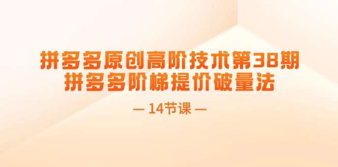 （11704期）拼多多原创高阶技术第38期，拼多多阶梯提价破量法（14节课）-七安资源网