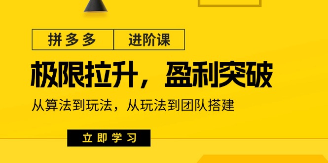 （11435期）拼多多·进阶课：极限拉升/盈利突破：从算法到玩法 从玩法到团队搭建-18节-七安资源网