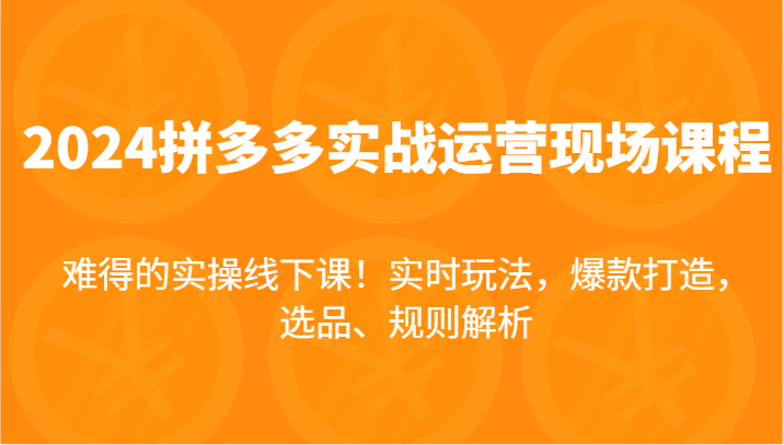 2024拼多多实战运营现场课，实时玩法，爆款打造，选品、规则解析，难得的实操线下课！-七安资源网