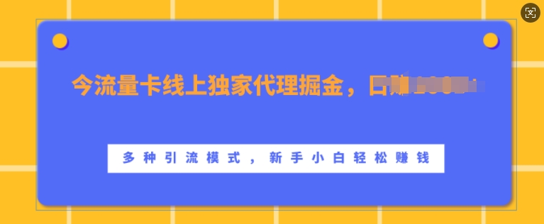 流量卡线上独家代理掘金，日入1k+ ，多种引流模式，新手小白轻松上手-七安资源网