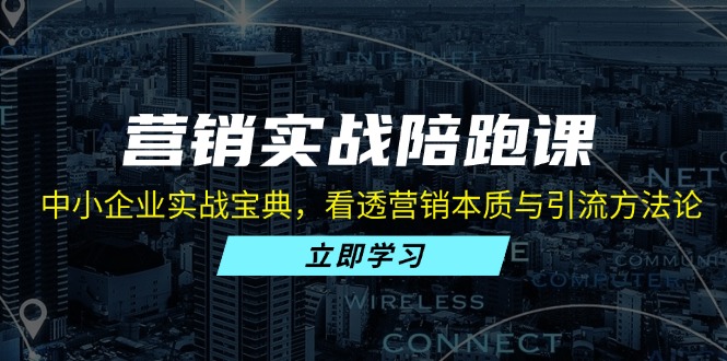 （13146期）营销实战陪跑课：中小企业实战宝典，看透营销本质与引流方法论-七安资源网