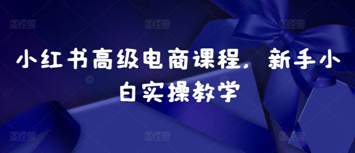 小红书高级电商课程，新手小白实操教学-七安资源网