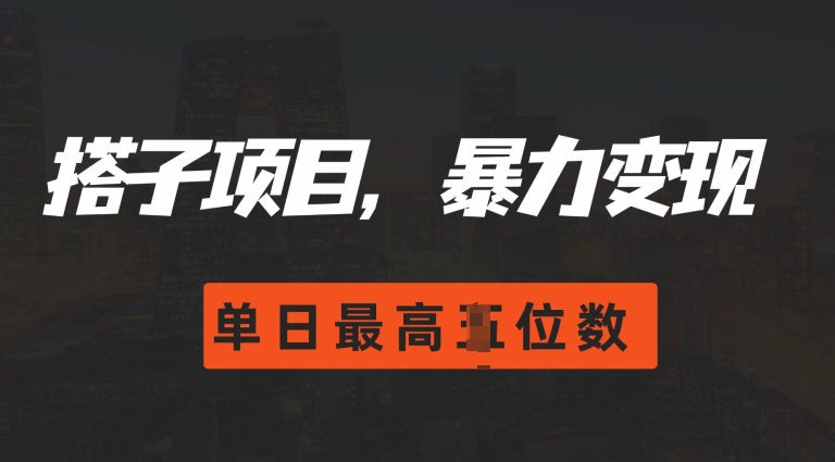 2024搭子玩法，0门槛，暴力变现，单日最高破四位数-七安资源网