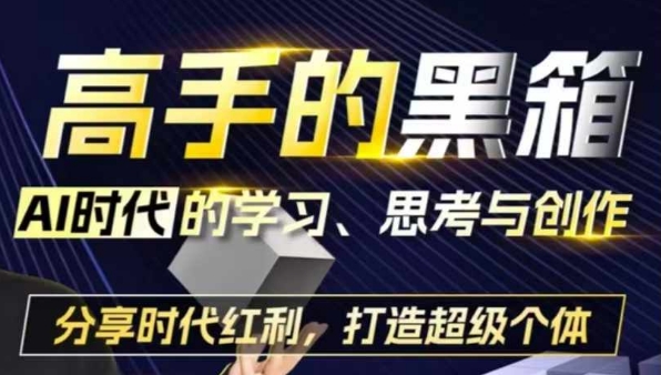 高手的黑箱：AI时代学习、思考与创作-分红时代红利，打造超级个体-七安资源网