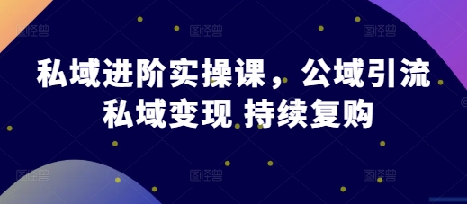 私域进阶实操课，公域引流 私域变现 持续复购-七安资源网