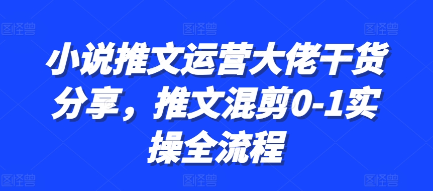 小说推文运营大佬干货分享，推文混剪0-1实操全流程-七安资源网