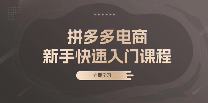 （13289期）拼多多电商新手快速入门课程：涵盖基础、实战与选款，助力小白轻松上手-七安资源网