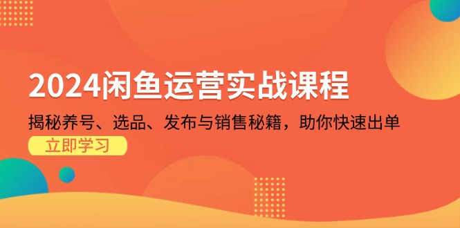 （13290期）2024闲鱼运营实战课程：揭秘养号、选品、发布与销售秘籍，助你快速出单-七安资源网