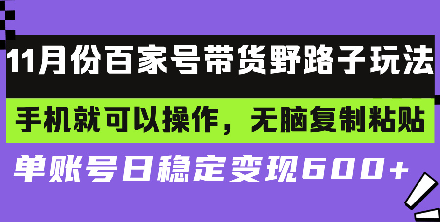 （13281期）百家号带货野路子玩法 手机就可以操作，无脑复制粘贴 单账号日稳定变现…-七安资源网