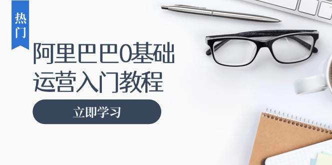 阿里巴巴运营零基础入门教程：涵盖开店、运营、推广，快速成为电商高手-七安资源网