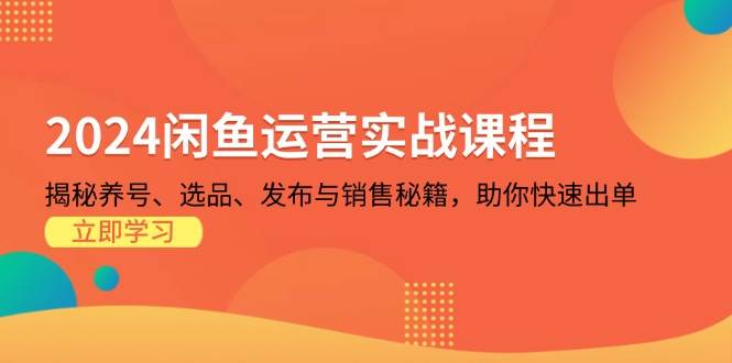 2024闲鱼运营实战课程：揭秘养号、选品、发布与销售秘籍，助你快速出单-七安资源网