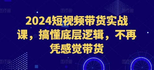 2024短视频带货实战课，搞懂底层逻辑，不再凭感觉带货-七安资源网