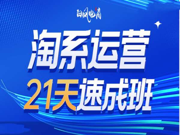 淘系运营21天速成班35期，年前最后一波和2025方向-七安资源网